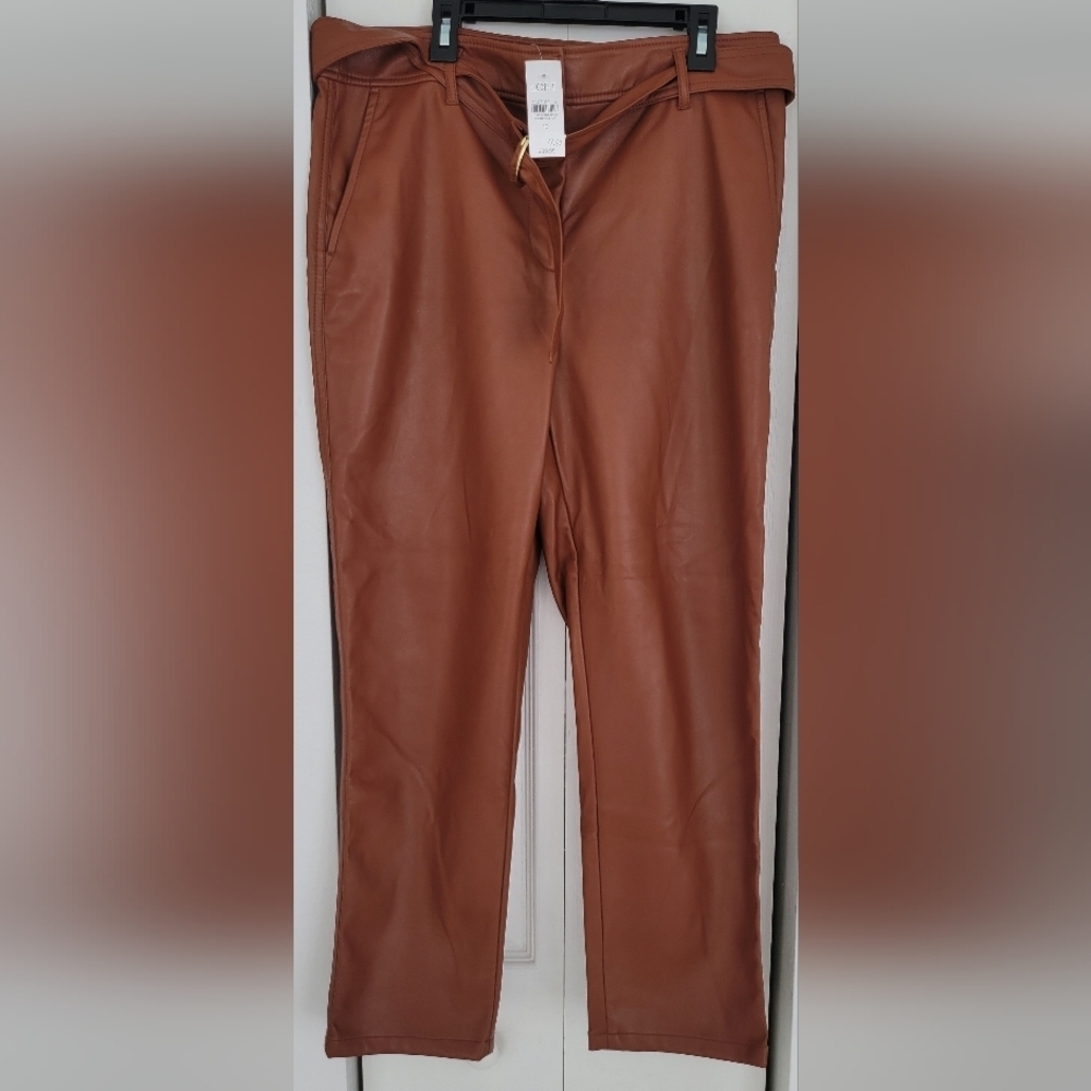 Loft Brown Faux Leather Pants Size 10 New